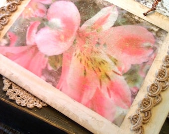 Alstroemeria lily photo transfer wall hanging.  Image transfer on wood. Gardener gift. Wall decor. Home decor. Mother's Day keepsake gift.