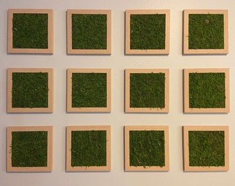 Moss Wall Art (set of 4)