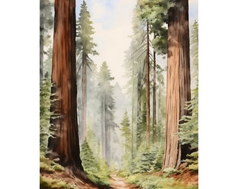 Può includere: Un dipinto ad acquerello di un sentiero boschivo fiancheggiato da alti alberi di sequoia. Il sentiero conduce in lontananza, dove gli alberi sono oscurati da una leggera nebbia. Gli alberi sono dipinti in tonalità di marrone, verde e grigio, e la nebbia è di un blu pallido.