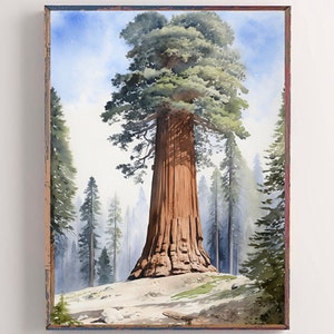 General Sherman Tree Watercolor Art Print California Sequoia Park Poster Sequoia Trees Painting Forest Landscape Wall Art Tulare County Art