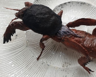 Riesige Maulwurfsgrille, Realistische Gryllotalpa gryllotalpa Figur, Käfer Textilornament, Kuriositäten & Kuriositäten Kunstgeschenke