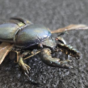Realistic Stag Beetle, Bug Pin Brooch, Horned Insect Pin Lapel, Realistic Bug Jewelry