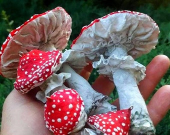 Ornements de champignons, Spécimen de champignon Toadstool Décoration, Noël Faeries Bauble