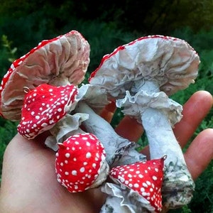 Mushroom Ornaments, Fungus Specimen Toadstool Decoration, Christmas Tree Faeries Bauble