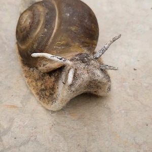 Anuncio gratuito de Etsy 40