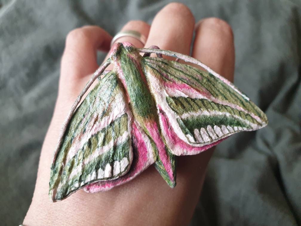 Elefantenschwärmerfigur, Insekt Schmetterling Modell, Etymologie Sammler Geschenkidee