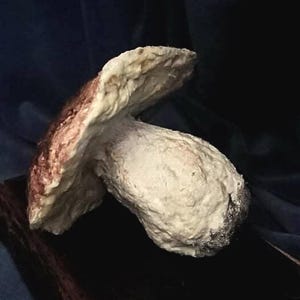 Boletus Edulis Ornament, hängender Fliegenpilz Weihnachtsdekoration, Textilpilz Skulptur, Geschenkidee