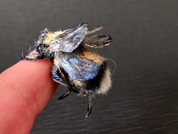 Realistic Bumble Bee Pin - Life Sized 3D Brooch, Insect Art Jewelry, Nature Lover Gift, Insect Art, Unique Birthday Gift for Her