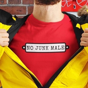 No Junk Male, Gay Pride Tshirt, Gay Pride Shirt, Gay, LGBT, Cute Gay Shirt, Gay Tshirt Mens, Trans, Trans Pride Tee
