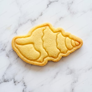 Ausstechform für Muscheln | Kekse zum Dekorieren von Kuchen mit Meeresmotiven | Perfekt für Sommerpartys