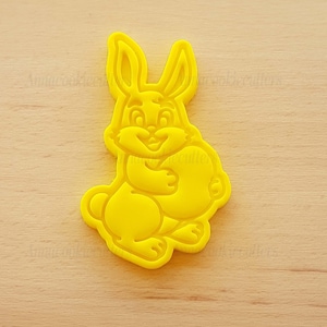Easter Bunny Cookie Cutter with Egg, Cookie Cutter, Easter Cake Molds - Easter Gift Creative Kitchen