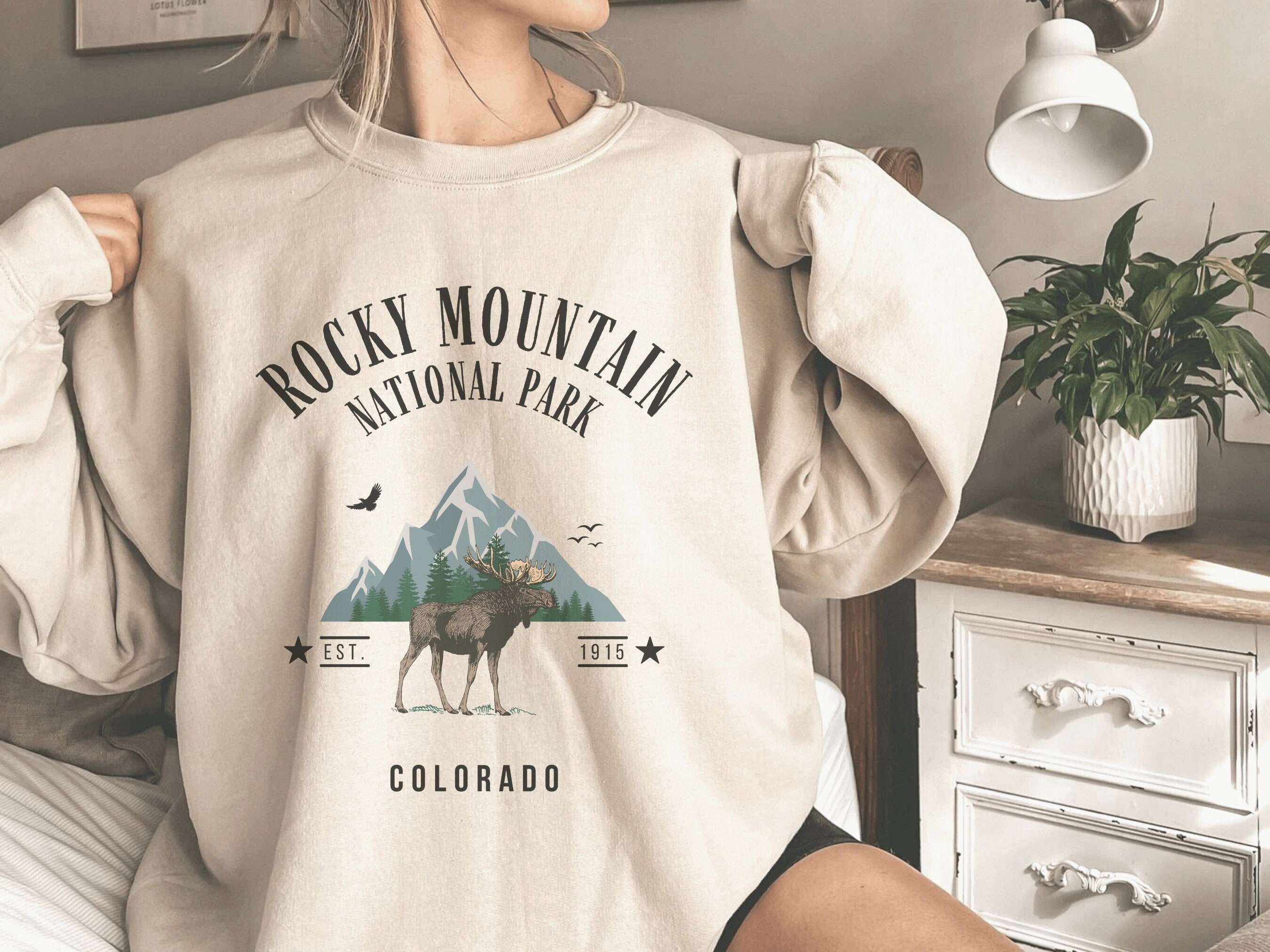 Rocky mountain best sale hoodie