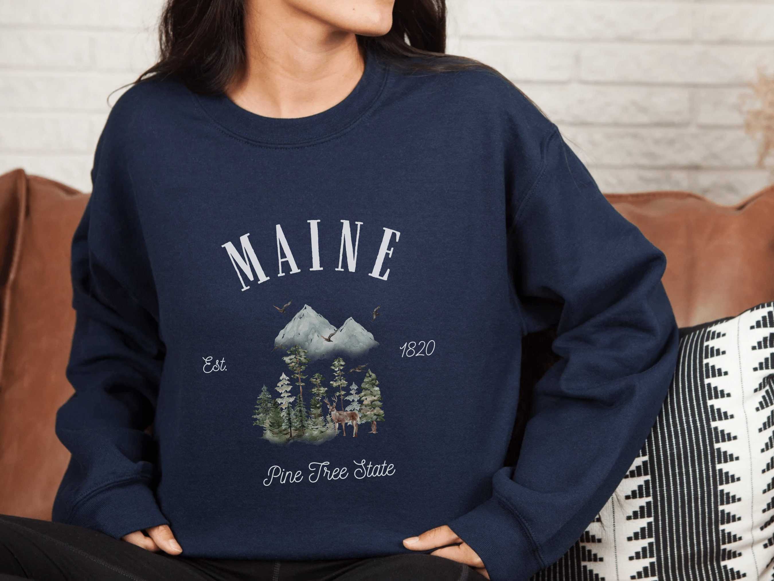 Discover Maine Sweatshirt, Pine Tree State, New England Shirt, Womens Sweater, Vintage Pullover Mountain Crewneck Portland Apparel Hoodie Unisex Gifts