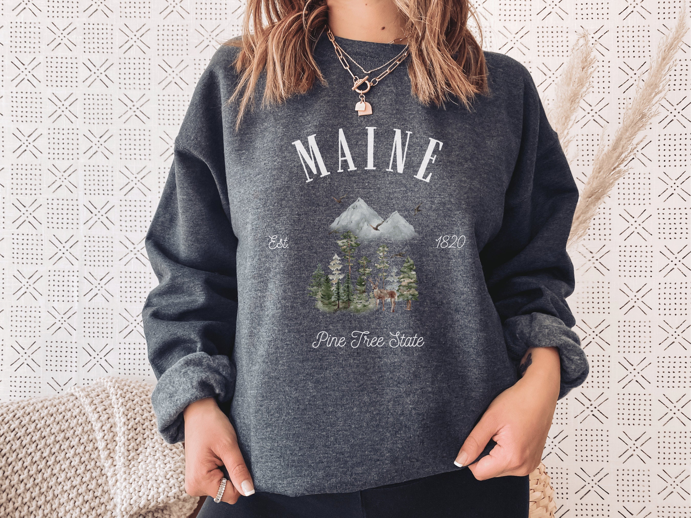 Discover Maine Sweatshirt, Pine Tree State, New England Shirt, Womens Sweater, Vintage Pullover Mountain Crewneck Portland Apparel Hoodie Unisex Gifts