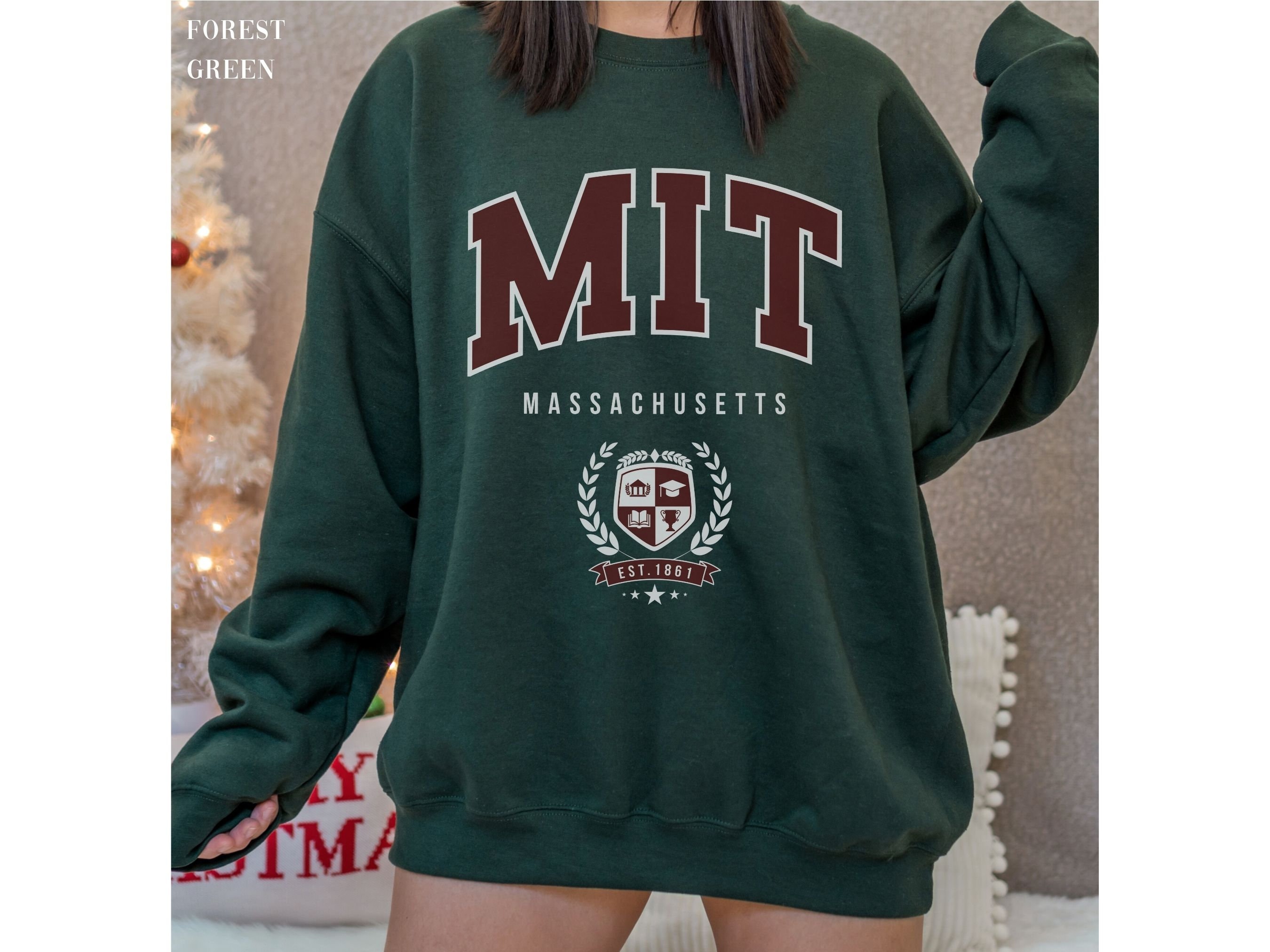 MIT Sweatshirt Institute of Technology University Hoodie Alumni Sweater  Massachusetts Shirt Vintage College MA Grad Pullover School Crewneck - Etsy  Denmark