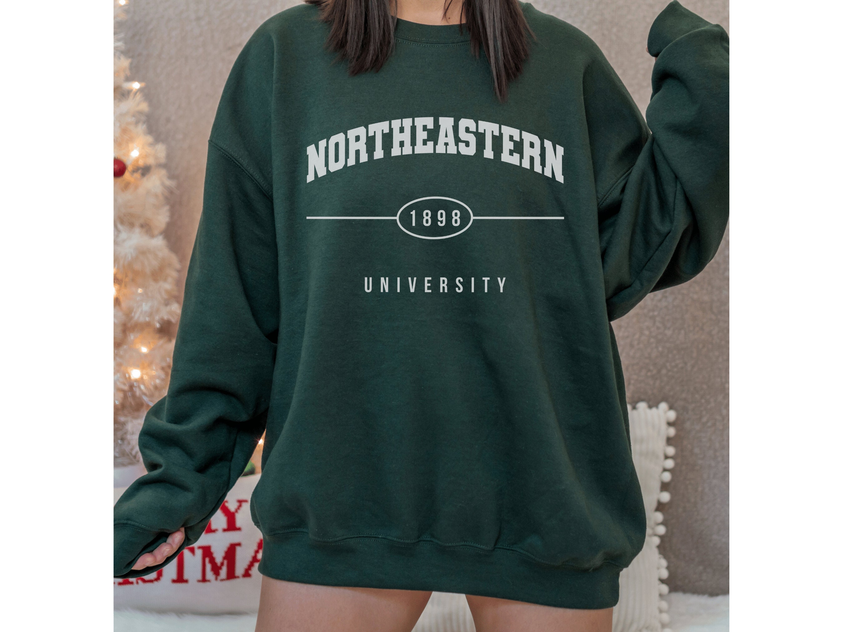 Northeastern University Sweatshirt Boston School Vintage Sweater