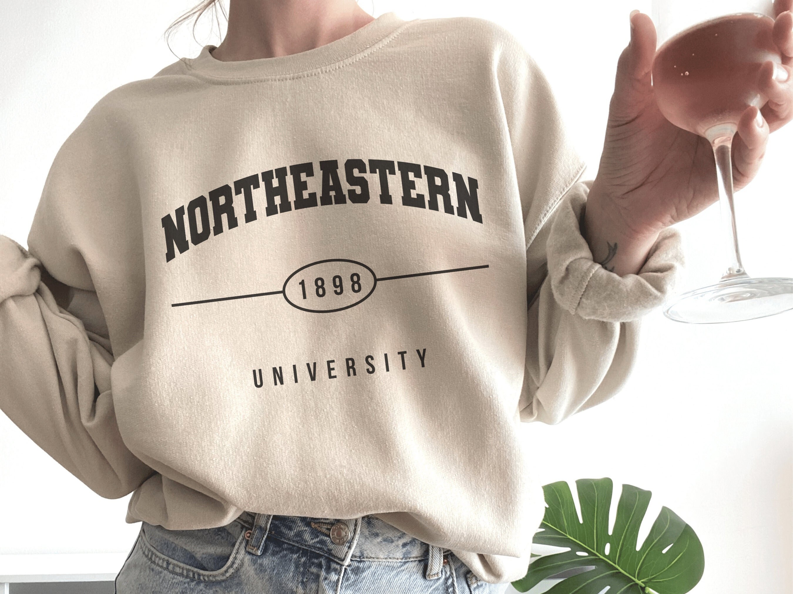 Northeastern University Sweatshirt Boston School Vintage Sweater