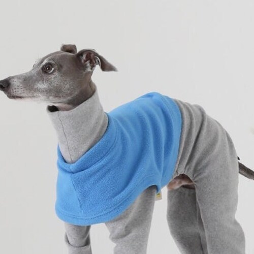 Italian Greyhound Layered All in shops one T-Shirt Wear Dog Clothing Clothes