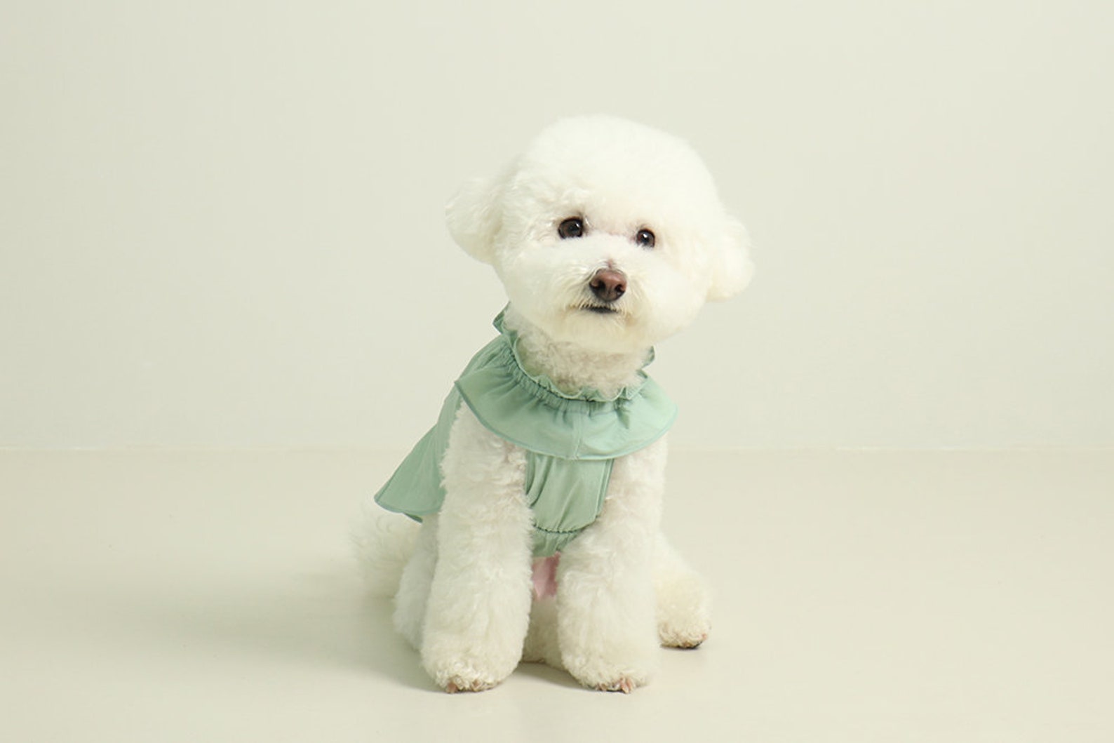 Bichon Frise Sun UV Protection Cool Wear Dog Clothing Clothes Etsy