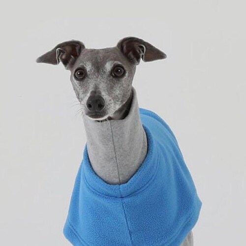 Italian Greyhound Layered All in shops one T-Shirt Wear Dog Clothing Clothes