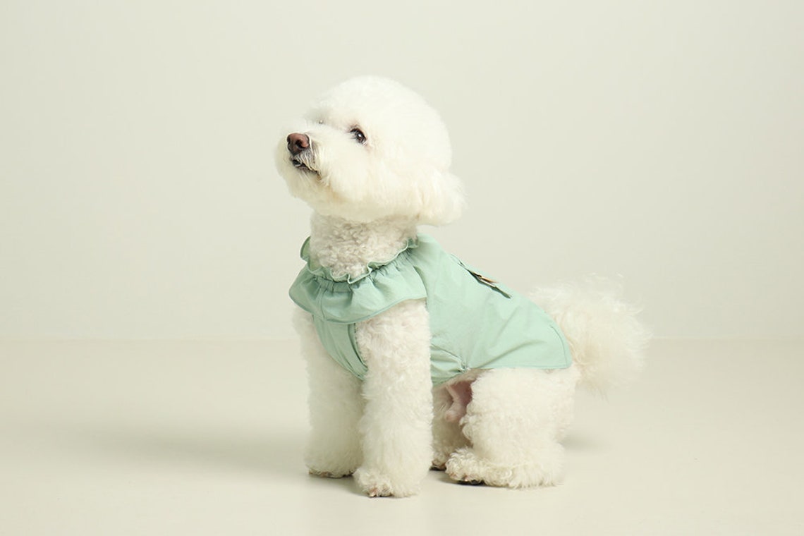 Bichon Frise Sun UV Protection Cool Wear Dog Clothing Clothes Etsy