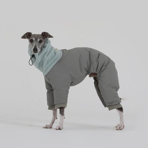 greyhound snowsuit