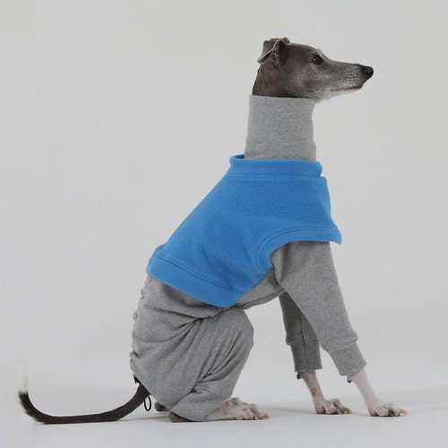 Italian Greyhound Layered All in shops one T-Shirt Wear Dog Clothing Clothes