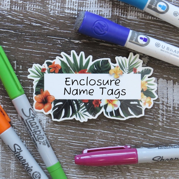 Reptile Name Tag for Enclosure Etsy