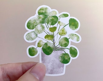 Plant Sticker, Pilea Plant, Botanical Sticker, Watercolor Style Cute Stickers, Matte Vinyl Sticker