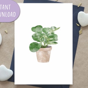 Tarjeta de felicitación de la planta de goma del bebé, planta de Pepromia Obtusifolia, tarjeta de felicitación imprimible, tarjeta de felicitación botánica / descarga digital
