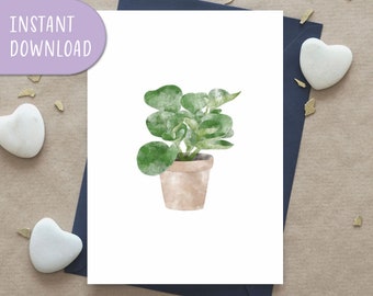 Baby Rubber Plant Greeting Card, Pepromia Obtusifolia Plant, Printable Greeting Card, Botanical Greeting Card | Digital Download