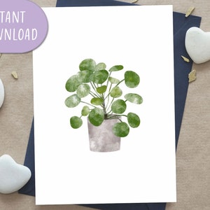 Pilea Plant wenskaart, afdrukbare wenskaart, botanische wenskaart | Digitaal downloaden
