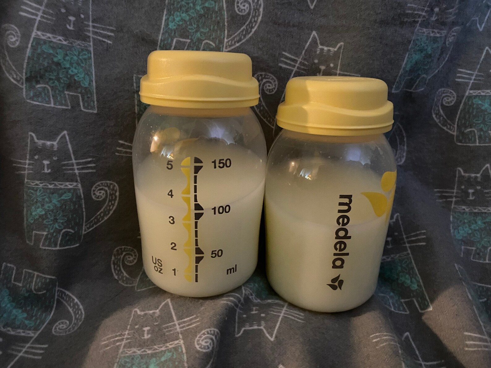 Reborn Medela Bottles with Milk Etsy