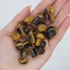 Mini* Tigers Eye Mushrooms, Mushroom Carving, Crystal Mushroom, Mini Mushies, Crystal Mushroom Carving, Mini Carvings