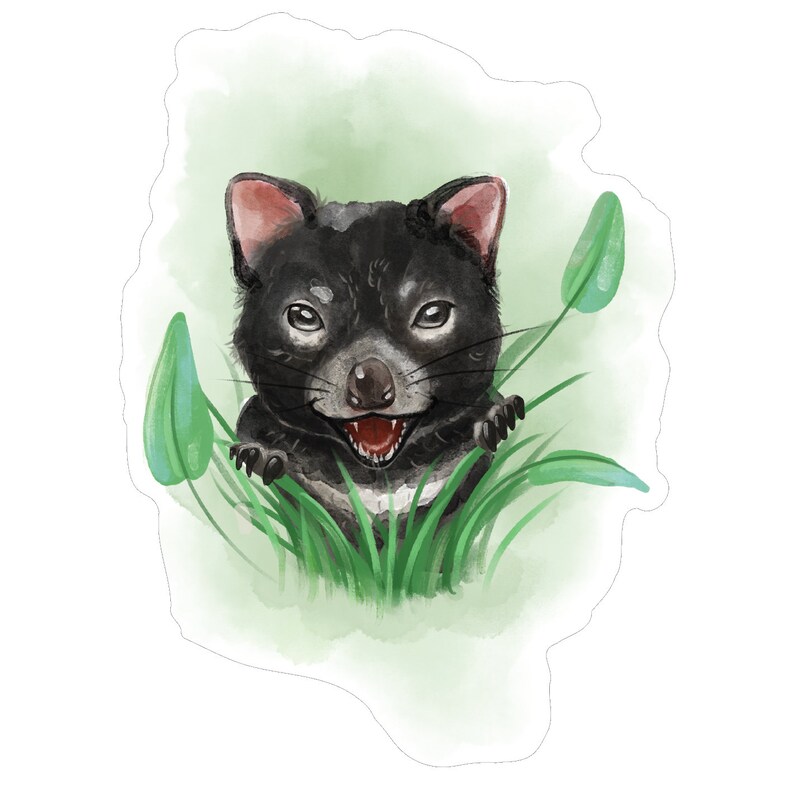 Tasmanian Devil Joey Wall Decal Nursery Decals Australian Wildlife Baby