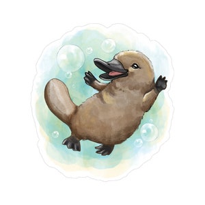 Platypus Puggle Wall Decal | Nursery Decals | Australian Wildlife | Baby Animals | Removable Wall Art | Removable Wall Stickers