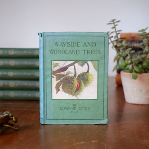Könnte beinhalten: Ein Vintage-Buch mit dem Titel "Wayside and Woodland Trees" von Edward Step, F.L.S. Das Buch hat einen türkisfarbenen Einband mit einer Illustration von stacheligen Samenkapseln. Weitere Bücher mit grünen Einbänden sind im Hintergrund gestapelt.