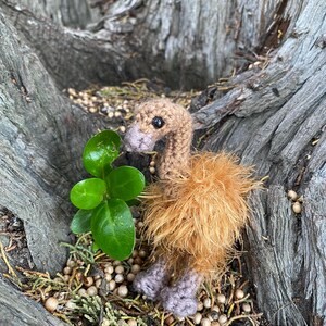 Puede incluir: Un pequeño juguete de peluche de emu de color marrón y gris tejido a crochet, con un cuerpo marrón esponjoso y patas grises. El juguete está sentado en una cama de agujas de pino marrones y pequeñas bayas blancas.