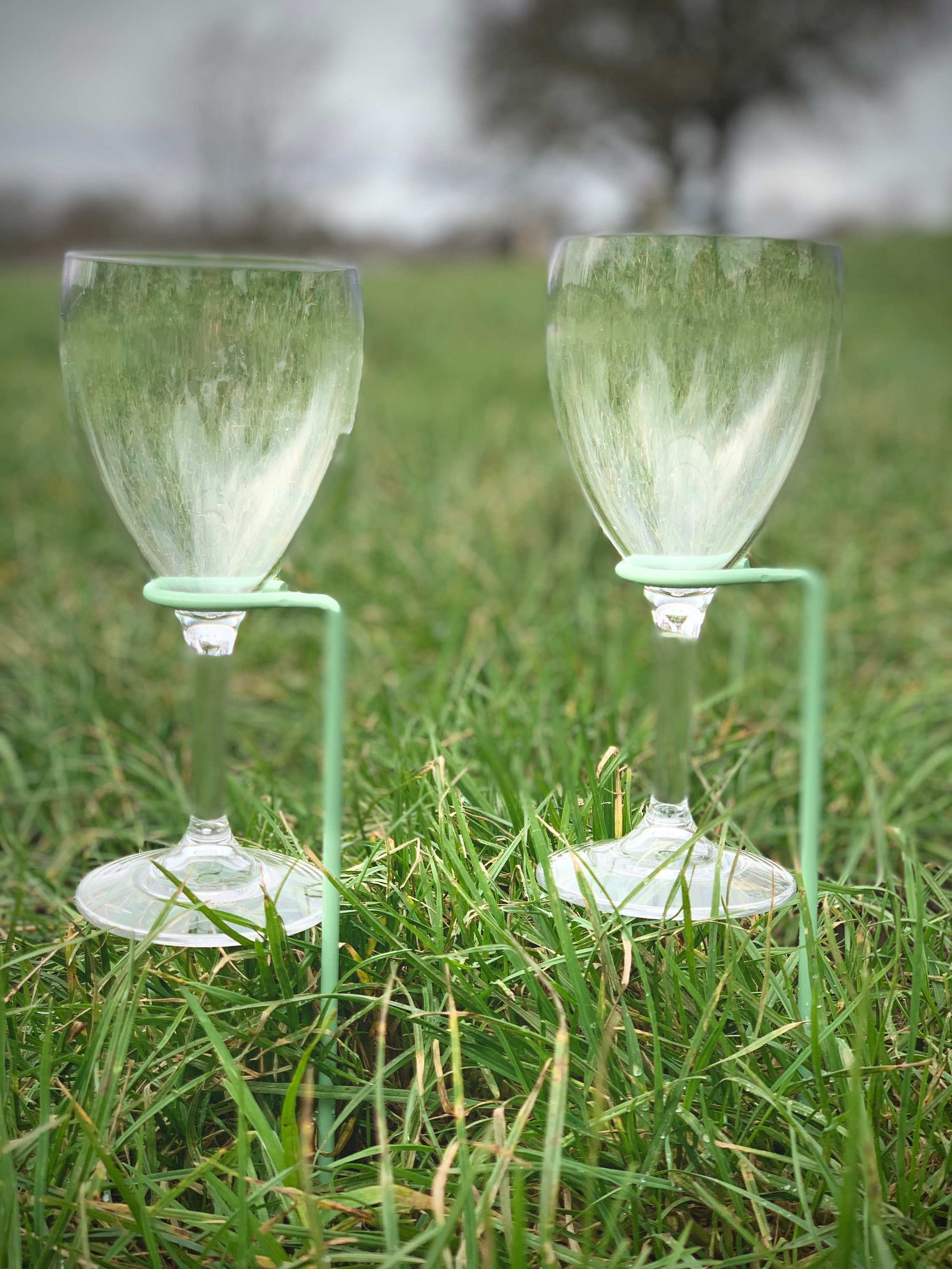 Wine & Champagne Glass Stakes Wine Glass Holder Garden Etsy