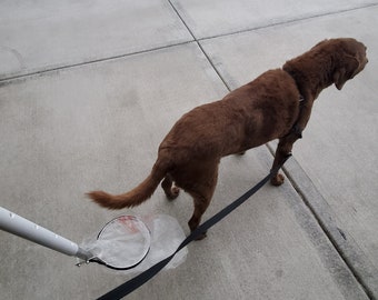 Doggie Bags It, dog poop collection bagger. The poop never hits the ground, so you never have to pick it up, the dog poops into opened bag.