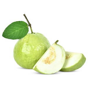 COMPRE 1 Y LLÉVESE 1 GRATIS, Plántula de árbol frutal de guayaba blanca, 1 pulgada de alto