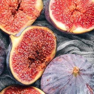 Liquidación: compre 1 y llévese 1 gratis, árbol de higo violeta de Burdeos, de 1 a 2 pulgadas de alto, bien enraizado