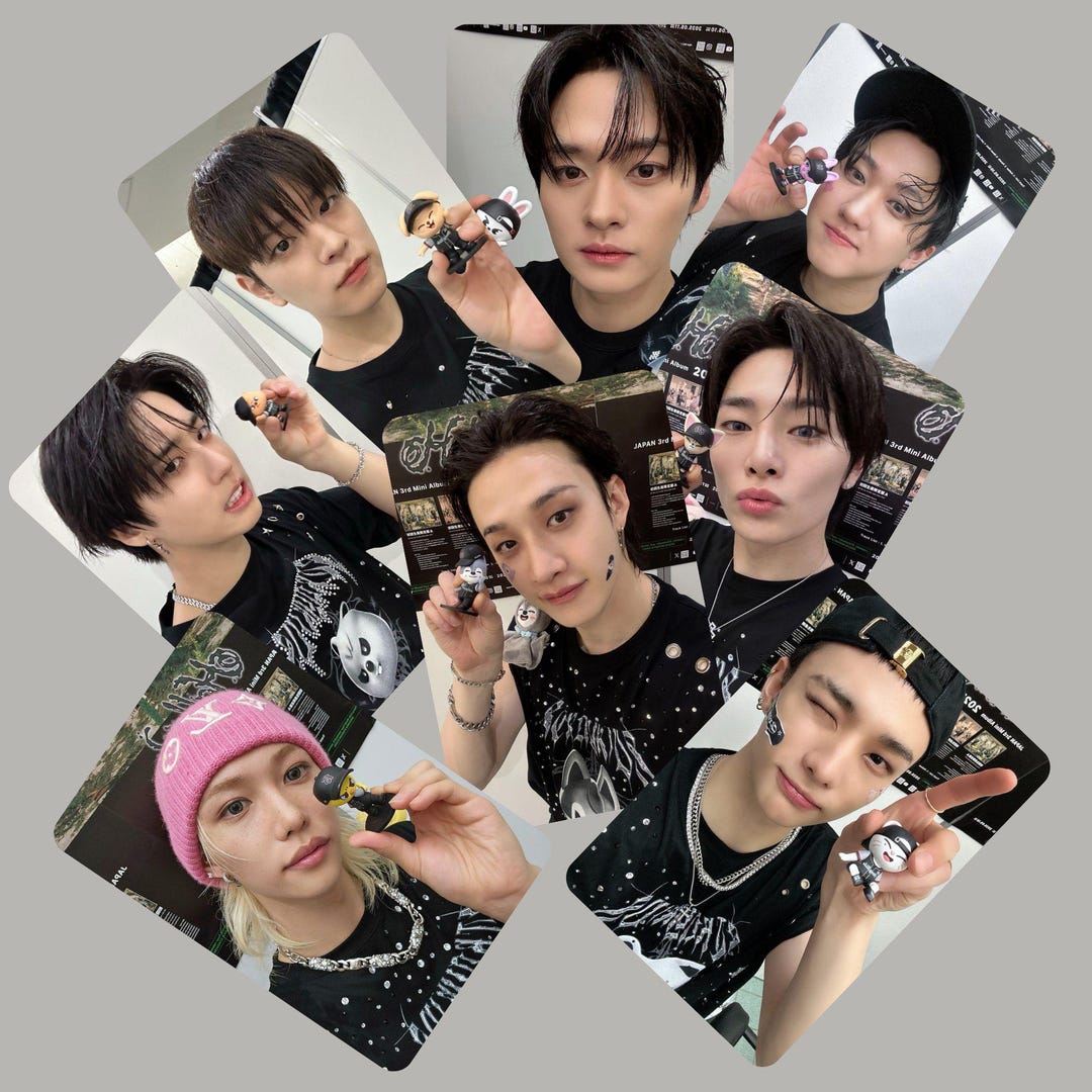 Stray Kids SKZ Dominate Japan Figurine Photocards -preorder - Etsy