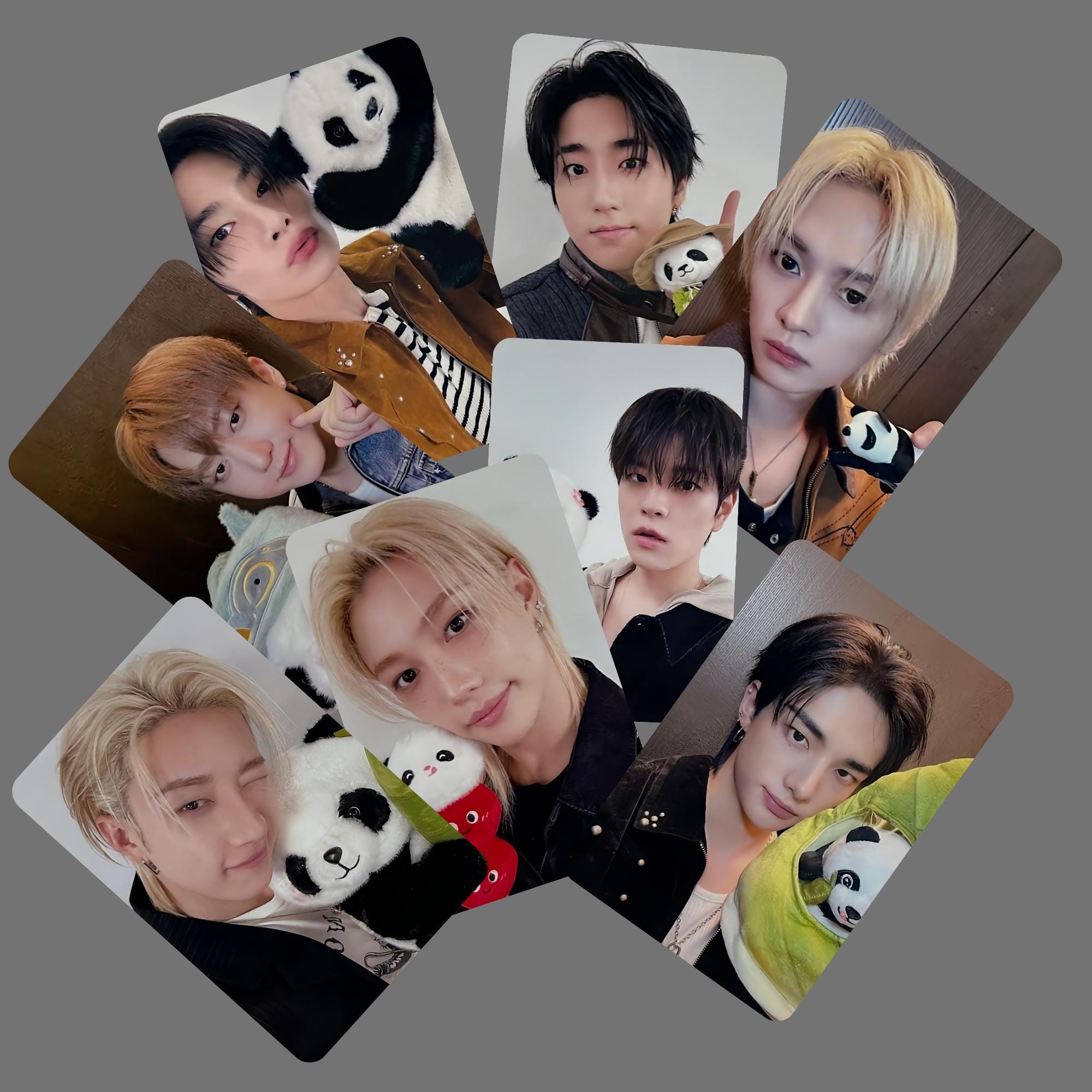KMNZ KMN PHOTO CARD(random) 全種類セット ランダムフォトカードセット2枚入り(全47種) | SMTOWN OFFICIAL ONLINE