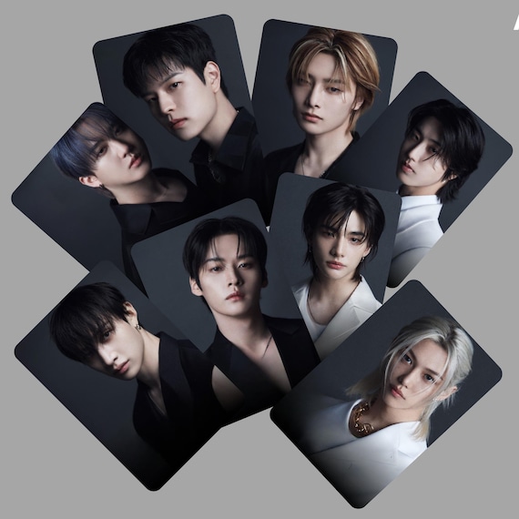 Stray Kids SKZ Dicon Photocards -preorder - Etsy