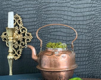 Vintage Copper Pot Curio | Rustic Moss & Quartz Display | Apothecary Cottagecore Decor | Curiosity Cabinet Accent
