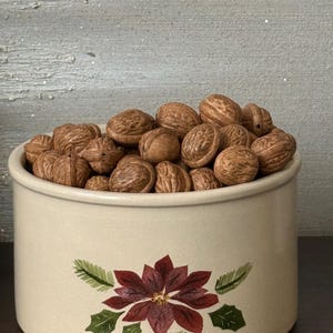 May include: A cylindrical cream-coloured ceramic bowl filled with a mound of brown walnuts. The exterior of the bowl features a painted design of a dark red poinsettia flower with green leaves and pine needles centred on the front side.