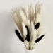 see more listings in the Dried Flowers section