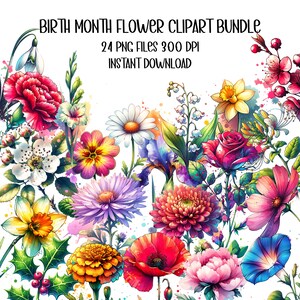 Geboortemaand bloem clipartbundel - aquarel twee bloemenillustraties voor elke maand - commercieel gebruik Clip Art Set Instant Download