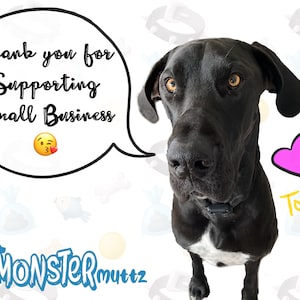 May include: A black Great Dane dog with a white patch on its chest, wearing a black collar, looks directly at the camera. The dog is sitting on a white background with a pink heart and the name "Tonka" written in yellow. The text "Thank you for supporting small business" is in a speech bubble above the dog's head. The text "Monster Muttz" is in blue at the bottom of the image.